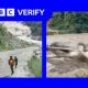 BBC Verify: Menelusuri Jejak Banjir Kilat Nepal–Tibet yang Mematikan