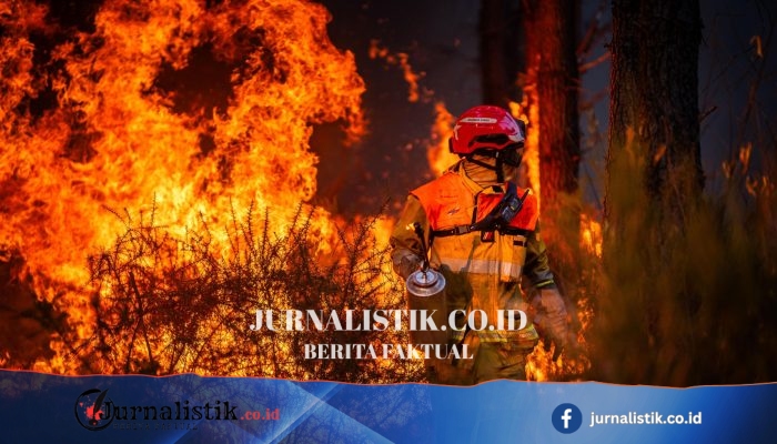 Ratusan Orang Ditangkap Terkait Kebakaran Hutan Prancis yang Belum Pernah Terjadi: Siapa yang Bertanggung Jawab?