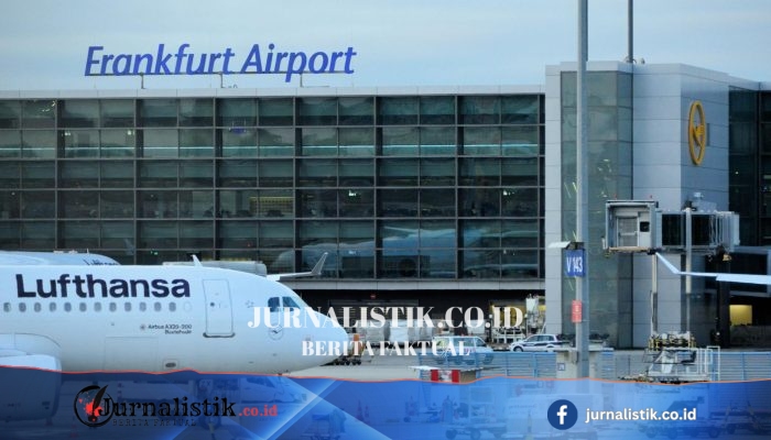 Pekerja Bandara Frankfurt Meninggal Karena Malaria setelah ‘Nyamuk Tiba di Pesawat’