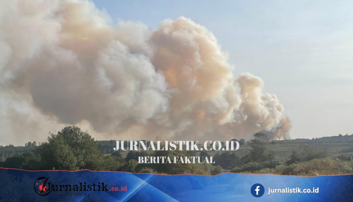 Kebakaran kendaraan di New Forest merambat ke heathland saat petugas berupaya memadamkan api