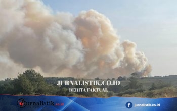 Kebakaran mobil Tutup Jalan Utama New Forest, A31 Dekat Ringwood Dipadamkan Petugas