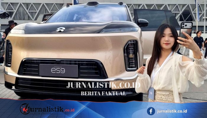 Hampir 3 Juta Tesla Ditangguhkan di China karena Tuas Pintu Tersembunyi