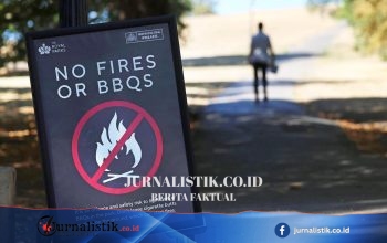 Pemerintah Inggris Larang Sementara Penjualan BBQ Sekali Pakai karena Risiko Kebakaran Hutan