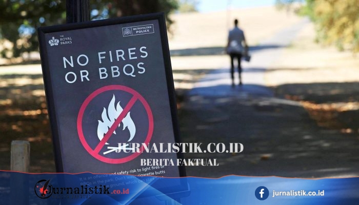 Pemerintah Inggris Larang Sementara Penjualan BBQ Sekali Pakai karena Risiko Kebakaran Hutan