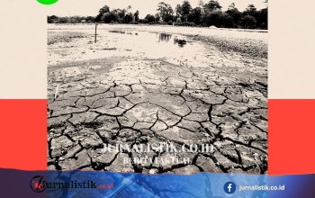 Pertarungan Mengamankan Ketersediaan Air Inggris: Mengapa Kekeringan Makin Parah?