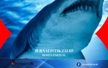 Pria buronan ditangkap saat tertidur di atap rumah Salford, dua polisi luka ringan