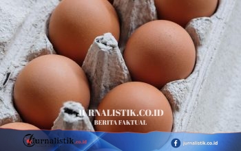 Wabah salmonella di Inggris: 1 meninggal, ratusan sakit terkait telur impor