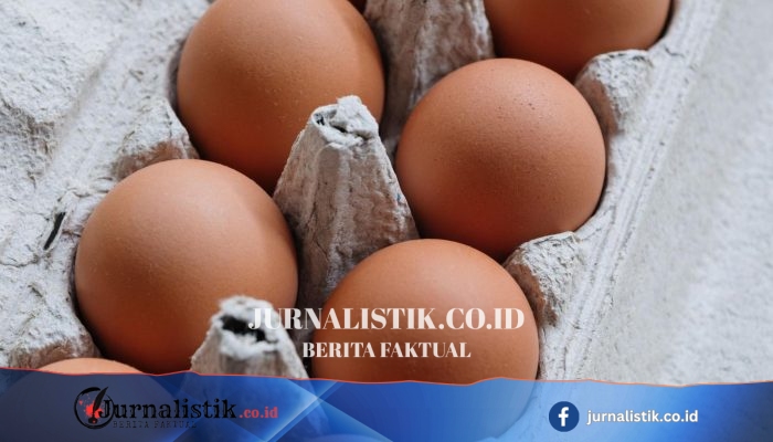 Wabah salmonella di Inggris: 1 meninggal, ratusan sakit terkait telur impor