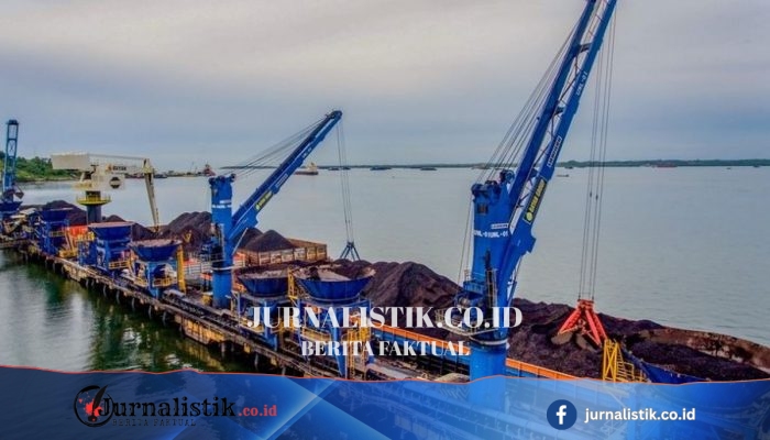 Rp 18.650 Disentuh di Tengah Rumor Akuisisi Haji Isam, Saham BYAN Koreksi 400 Poin