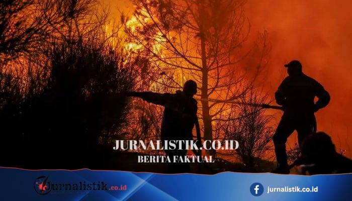 Karhutla di Lamandau, Kalimantan Tengah, dekatkan api ke gardu PLN dan permukiman; pagar sempat ditembus, helikopter dikerahkan
