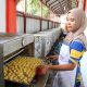 Pindar MEKAR Akses 133.000 UMKM, 89,2% Pembiayaan Tersalurkan untuk Sektor Produktif