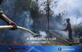 BMKG Babel Temukan 40 Hotspot, Warga Diminta Tingkatkan Waspada Karhutla