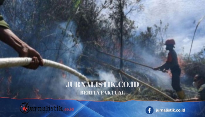 BMKG Babel Temukan 40 Hotspot, Warga Diminta Tingkatkan Waspada Karhutla