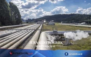 PLN Siapkan 110 Proyek Panas Bumi untuk Capai 7,9 GW pada 2033