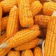 Bapanas Usul Tambah SPHP Jagung Pakan 150.000 Ton Demi Tekan Harga Pakan