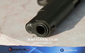 Polda Maluku Utara Bongkar Kasus Senpi Ilegal: 3 Tersangka, 3 Senjata, dan 206 Butir Amunisi di Halmahera Utara