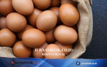 Kementan Perintahkan Satgas Pangan Tindak Broker Telur yang Membeli di Bawah Rp 22.500