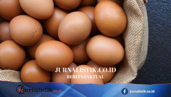 Kementan Perintahkan Satgas Pangan Tindak Broker Telur yang Membeli di Bawah Rp 22.500