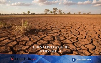 Kemarau Berkepanjangan, Debit 11 Mata Air di Banyuwangi Turun Maksimal 30 Persen