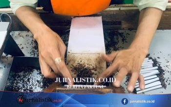 Kemnaker Peringatkan Efek Domino Pengetatan Industri Tembakau bagi Jutaan Pekerja