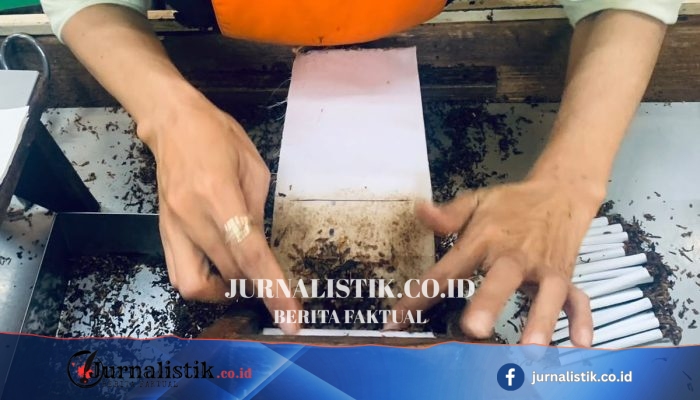 Kemnaker Peringatkan Efek Domino Pengetatan Industri Tembakau bagi Jutaan Pekerja