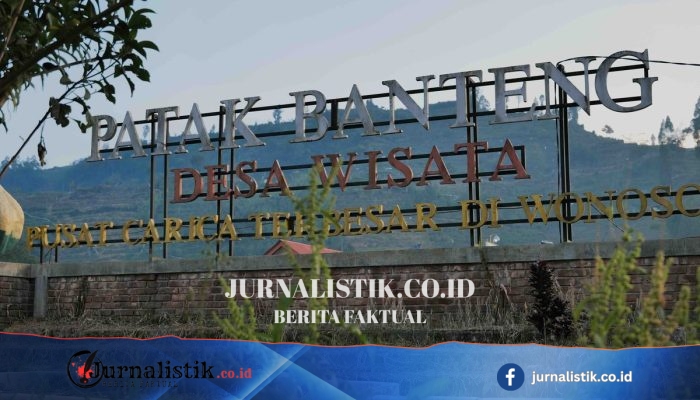 Dana Desa 2026 Turun ke Rp300 Juta, Patak Banteng Dieng Perkuat PADes lewat Wisata Gunung Prau
