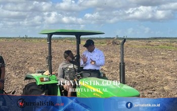 Kementan Kejar Pencetakan Sawah Papua Barat, Target Tanam Oktober 2026