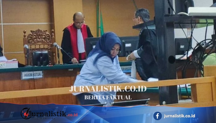 Terbukti Korupsi Proyek SUTT PLN, Lussy Adriaty Dede Divonis 4 Tahun Penjara