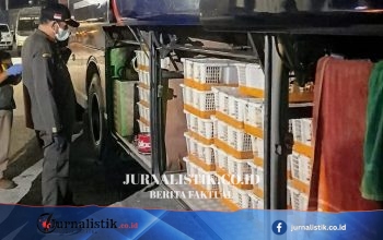 991 Burung Tanpa Dokumen Disita di Pelabuhan Bakauheni, Diduga Terkait Perdagangan Satwa Liar