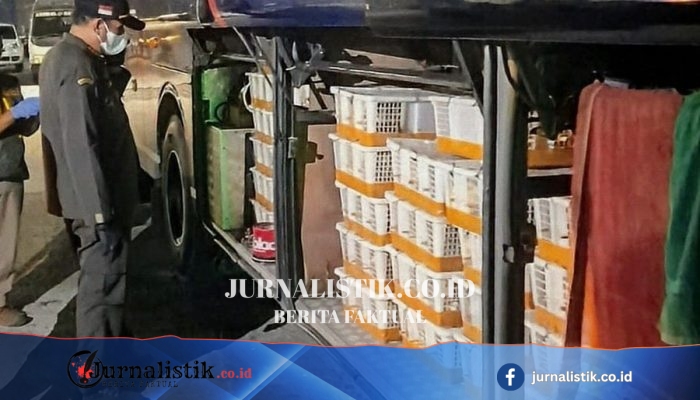 991 Burung Tanpa Dokumen Disita di Pelabuhan Bakauheni, Diduga Terkait Perdagangan Satwa Liar