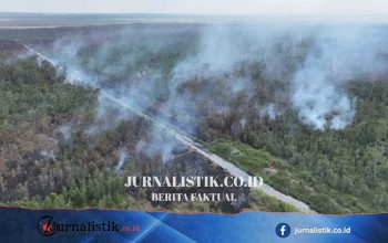 BNPB Menyiagakan 10 Helikopter Water Bombing Atasi Karhutla di Kalimantan