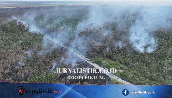 BNPB Menyiagakan 10 Helikopter Water Bombing Atasi Karhutla di Kalimantan