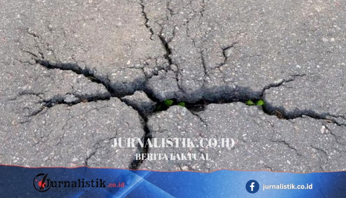 BMKG: Gempa Tektonik M4,7 Menggetarkan Nagekeo, NTT Akibat Sesar Aktif
