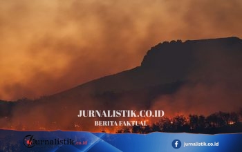 BPBD Sukoharjo: Kebakaran Lahan Saat Kemarau Dipicu Ulah Manusia dan Angin Kencang