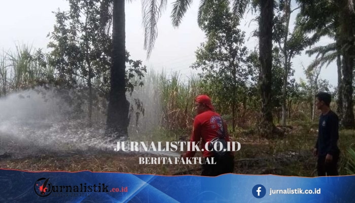 Lampung Punya 56 Titik Panas, Kekeringan Berpotensi Ganggu Produksi Pertanian