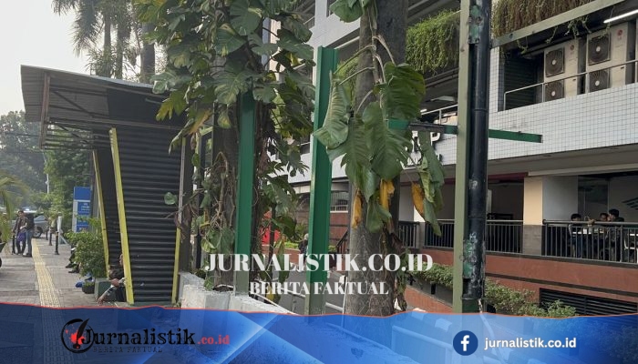 Pagar Meninggi: Kecemasan di Baliknya?