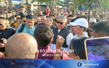 Jokowi Hadir di CFD Kupang, Warga Rela Panjat Pohon demi Menyaksikan di Jalan El Tari