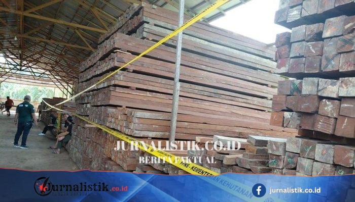 Dokumen SKSHH Palsu, PS (51) Tersangka 140 Kubik Kayu Ulin Ilegal Diserahkan ke Kejaksaan Negeri Samarinda