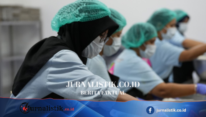 Dugaan Keracunan MBG 156 Siswa di Seruyan, Kalimantan Tengah: Uji Lab BGN Temukan Bakteri