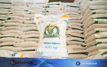 Amran: Cadangan Beras Pemerintah Tahun Ini Tembus 5 Juta Ton, Serapan Petani 3,5 Juta Ton