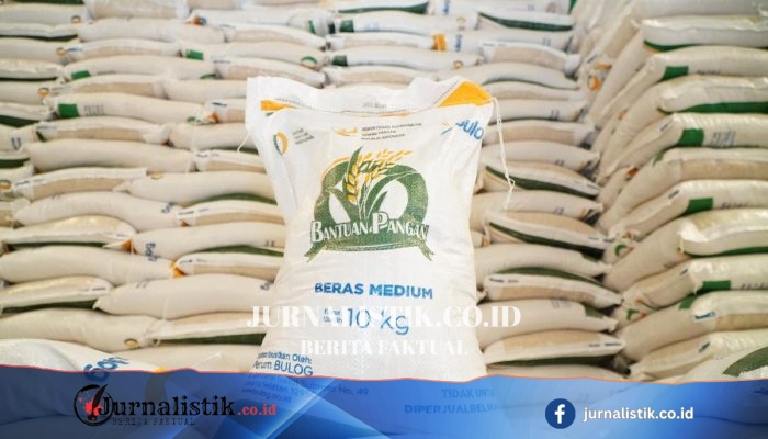 Amran: Cadangan Beras Pemerintah Tahun Ini Tembus 5 Juta Ton, Serapan Petani 3,5 Juta Ton