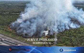 Hotspot Karhutla 142 Dalam Sehari, Sumsel Kerahkan 11.567 Personel untuk Pemadaman