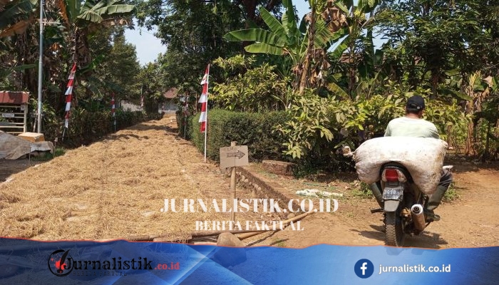 Tiga Tahun Jalan Rusak, Warga Pekalongan Urunan Swadaya dan Perbaiki Sendiri
