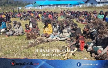 Kemensos-Komnas HAM Sepakat Percepat Respons Bantuan bagi Ribuan Pengungsi di Kabupaten Puncak, Papua Tengah