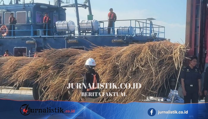 Bea Cukai Mencegat Ekspor Ilegal 99,5 Ton Rotan ke Malaysia di Perairan Sipadan