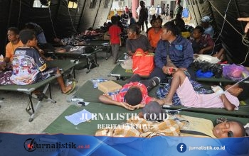 Keracunan MBG di Depapre Jayapura: 527 Orang Tercatat, Terbanyak Siswa PAUD hingga SMP