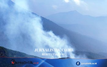 Kebakaran di TNGGP Menyala Lagi di Kawah Wadon setelah Dilaporkan Padam Sehari