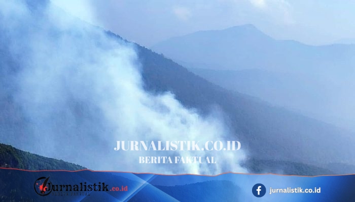 Kebakaran di TNGGP Menyala Lagi di Kawah Wadon setelah Dilaporkan Padam Sehari