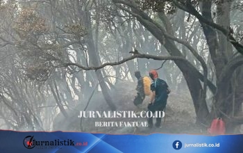 Kebakaran di Taman Nasional Gunung Gede Pangrango Menyasar Dua Titik, Edelweiss Dipastikan Tidak Terdampak