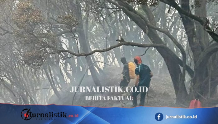 Kebakaran di Taman Nasional Gunung Gede Pangrango Menyasar Dua Titik, Edelweiss Dipastikan Tidak Terdampak